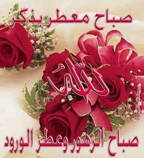 AsssfAss's tweet photo. https://t.co/qw3XRSZ46B
