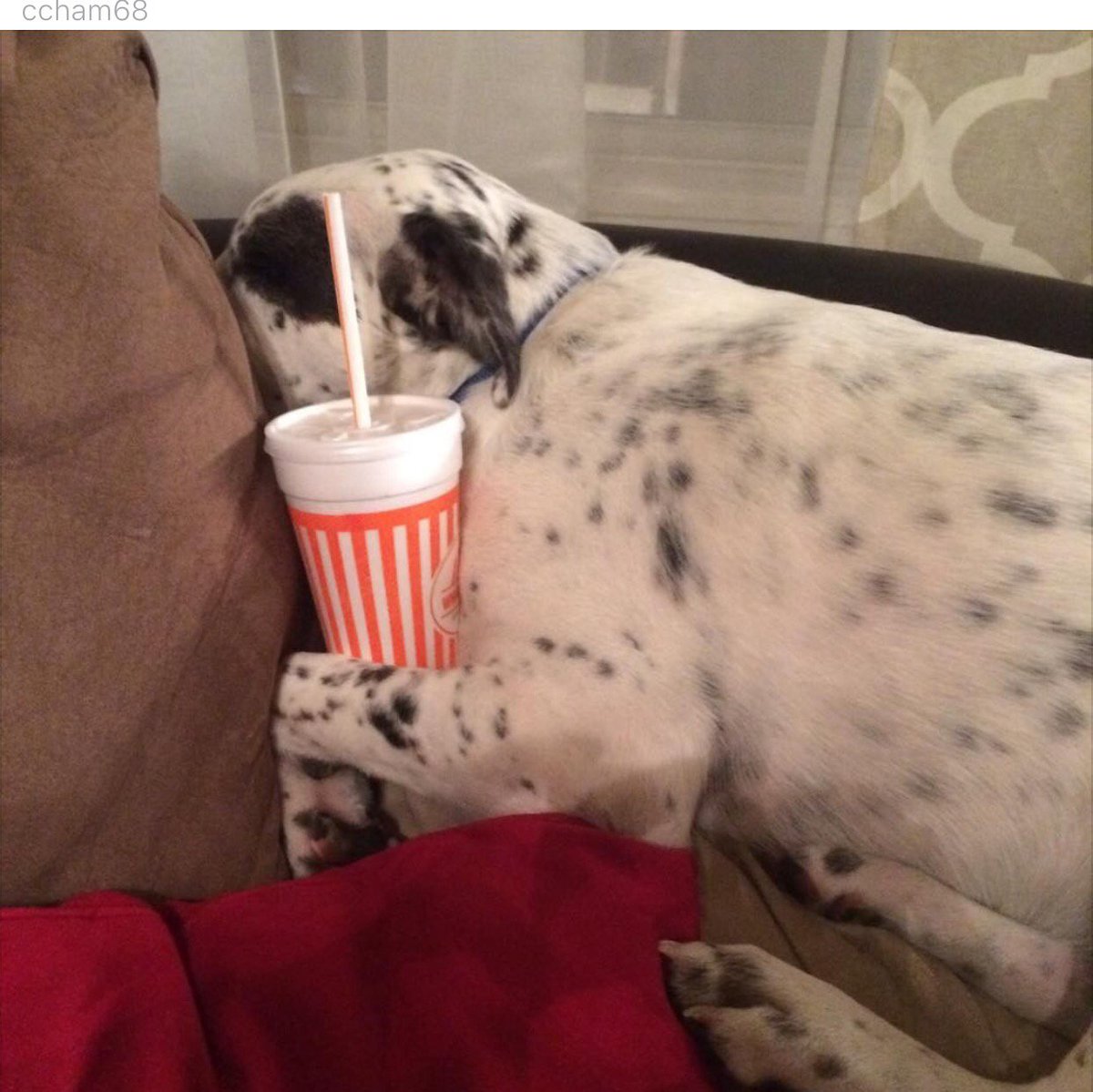 TexasHumor's tweet photo. Typical Friday night. #noregrets https://t.co/QUYrR3SxoA