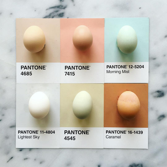 Pantone Eggs for Easter. creativebloq.com/graphic-design… #Easter <a href="/CreativeBloq/">Creative Bloq</a>