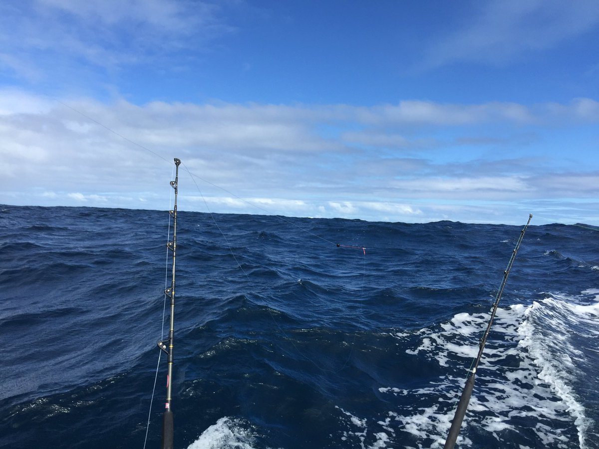 chebbard23's tweet photo. Tuna fishing.  #comeonfish!! https://t.co/n1vK9dSCU1