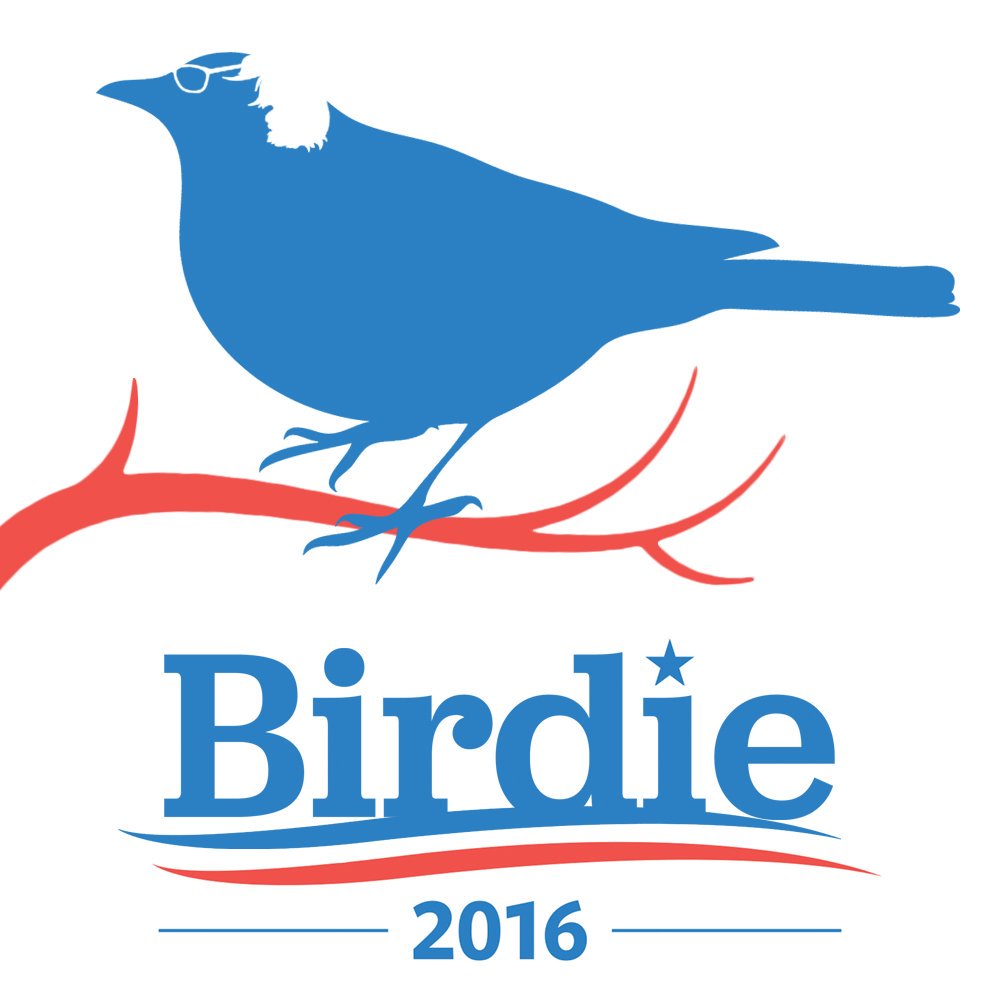 thejeffy84's tweet photo. #BernieSanders #NotMeUs #Feelthebern #AFutureToBelieveIn #wearebernie #StillSanders #BirdieSanders #Birds4Bernie https://t.co/xEe23U5hVn