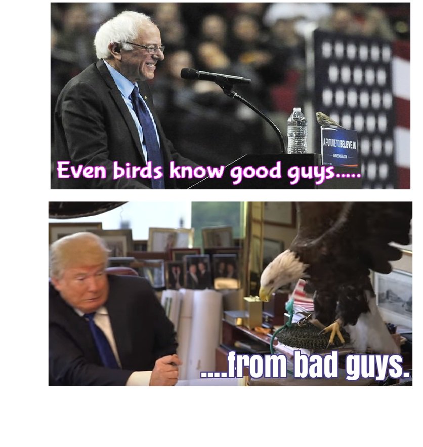 SeculaRadio's tweet image. 