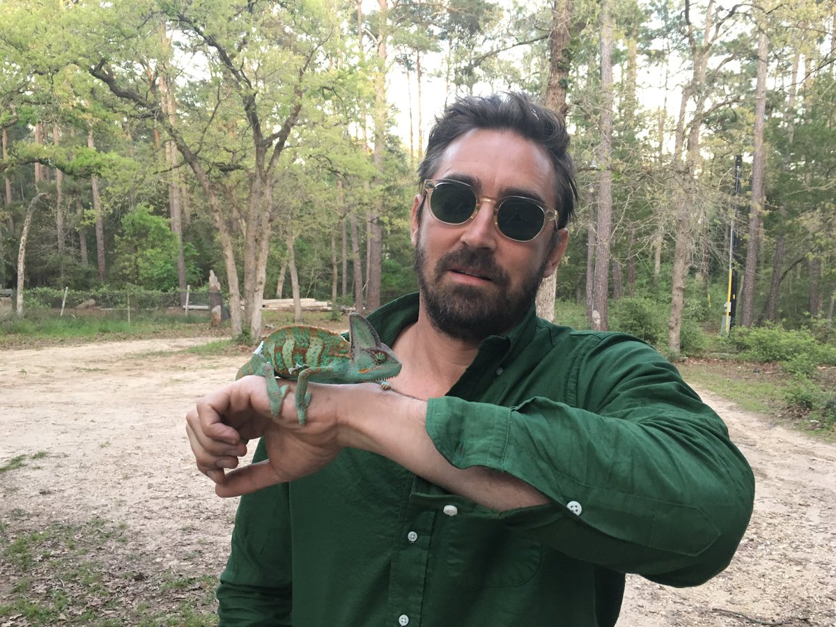 leepace's tweet photo. Thanks for all the Birthday wishes. Y'all are the best.
This is my brothers chameleon. https://t.co/1ndChym7la