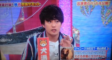 桐山照史の愛犬の名前はシーサーとゴーヤ フェレットを飼っていた過去も アスネタ 芸能ニュースメディア