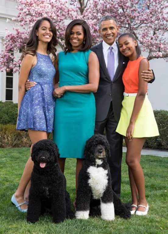 Huseyinagar4's tweet photo. Hi,A.B.D. Baskan' Barack Obama'S? Are your job perks as good as president' Barack Oboma. Nice Baskan. ( Huseyin Agar https://t.co/LdFoKhFpzx