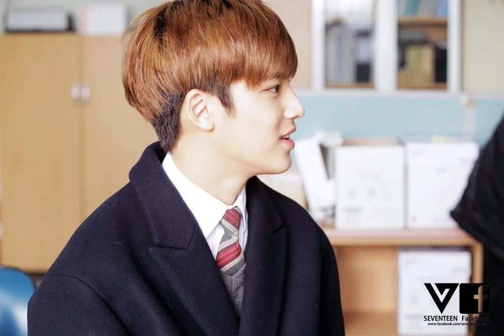 BIASHIPS's tweet image. I ship you with mingyu~：・’゜☆