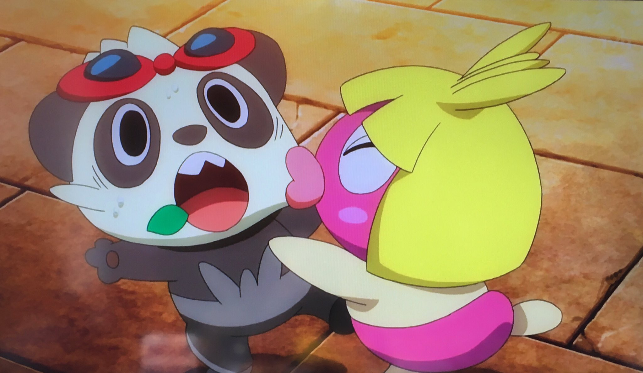 Twitter 上的 木曽駒 きそこま ヤンチャム ムチュールに魂吸い取られててかわいい 艸 アニポケ ポケモンxy T Co Tyohg3oylm Twitter