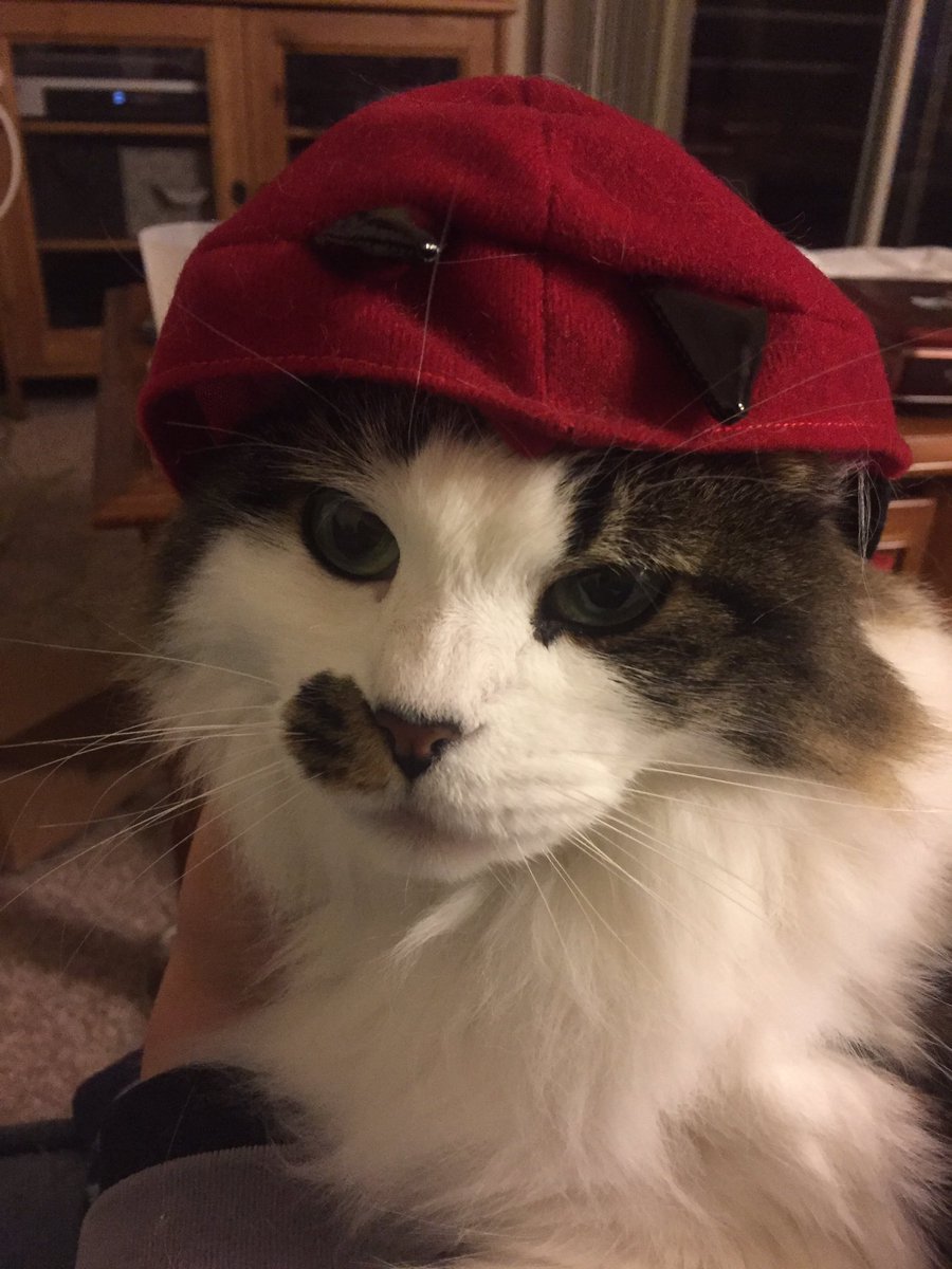 robinelaine's tweet photo. In solidarity with #bughat, here is #doradevil. @Jordan_Morris #MaxFunDrive https://t.co/8OWjoFbZox
