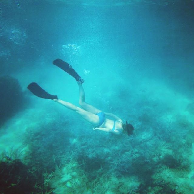 SeaLifeProject's tweet photo. #gbr #greatbarrierreef #capeyorkfishingchick #fisherwoman #fishing #fishingchicks #fishpo… https://t.co/OemyBgU5oY https://t.co/AdoqHjsRWE