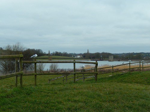 OllyPJ's tweet photo. Chew, Two, Three (Part 1) #TwoRiversWay #ChewValleyLake #ChewMagna #StantonDrew #Pensford https://t.co/s3Nk9zZ0tX https://t.co/eQlVR3ARNd