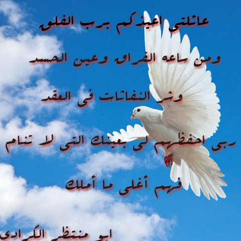 فؤاد الزبيدي (@foadlove247) on Twitter photo 