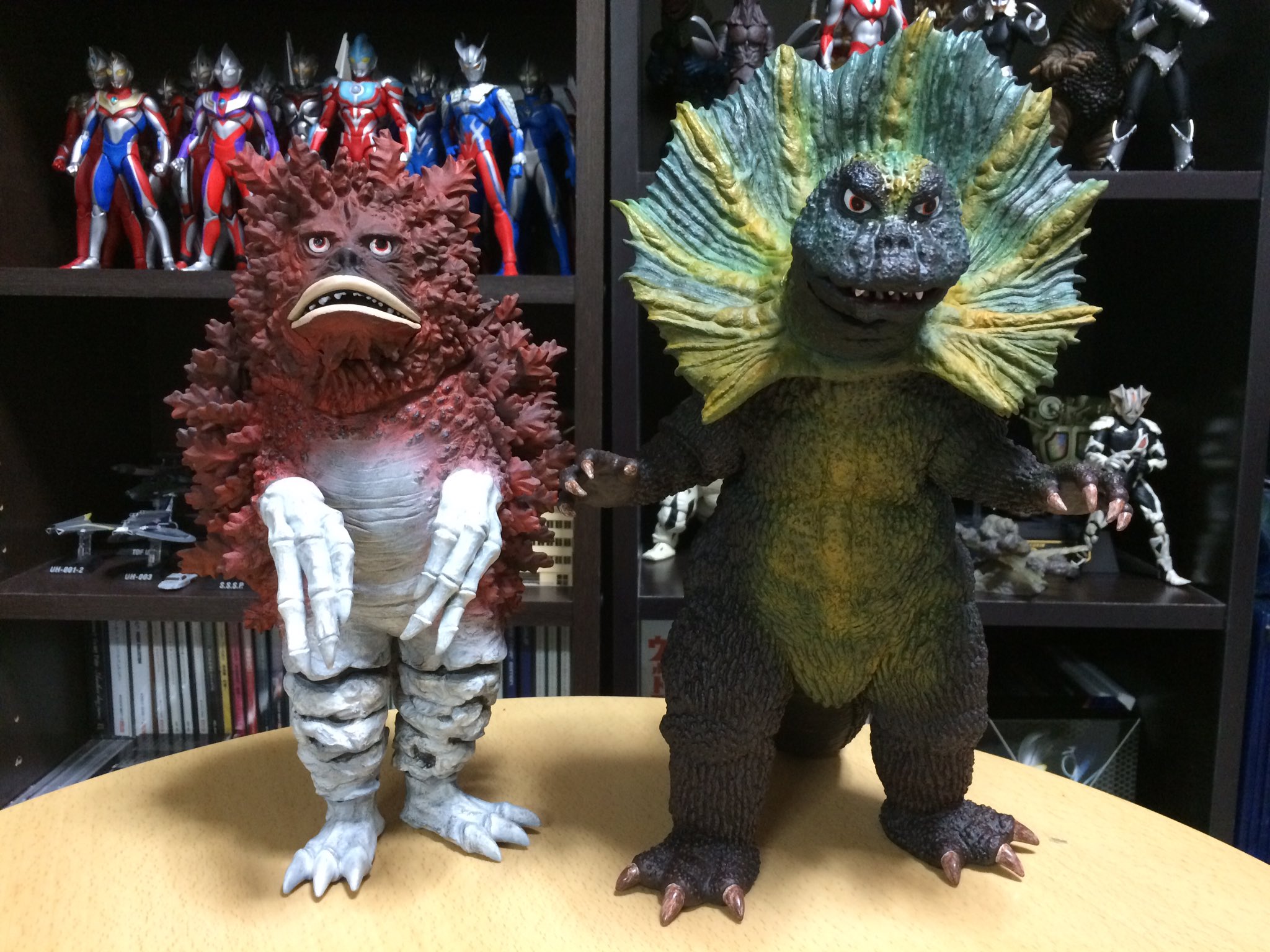 キヌタぬき على X: 