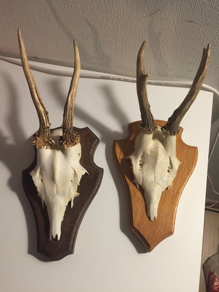 _Present2Day's tweet image. Reebokgeweitjes op houten plankje, mooi in een landelijk interieur. kijk op present2day.com