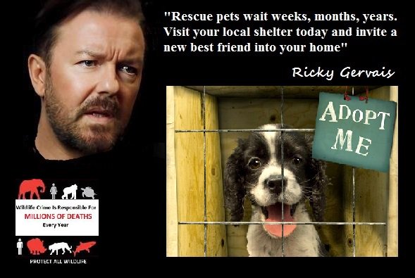 Visit your local rescue centre this weekend and find your new best friend!! #AdoptDontShop #WheresMum @RickyGervais