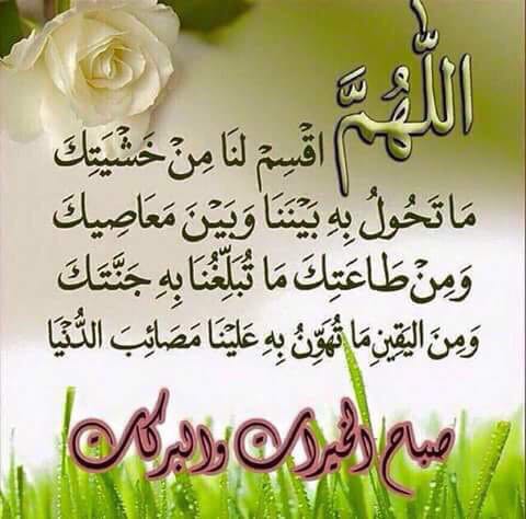 abdalla895's tweet photo. من يتوكل على الله
يثق به  يحسن الظن به يستعين به
لايضيع ابدآ لا يخيبه لا يخذله الله الرحمن ابدآ
صباح الخير https://t.co/e0r30D0rrP