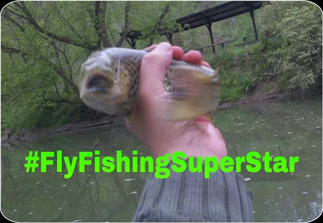 __IrishDoc__'s tweet photo. #BrownTroutOnTheFly #ERDOC #FlyFlishingSuperStar https://t.co/8I8lr73ZJH