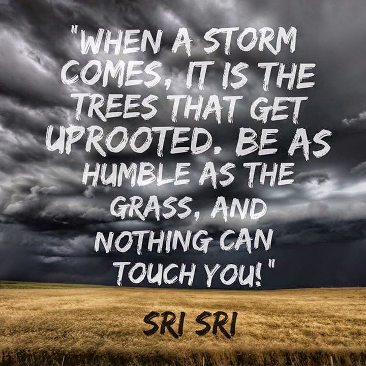 ArtofLiving's tweet photo. Be as humble as the Grass &amp; nothing can touch you! ~ Gurudev @SriSri. #QOTD #Quote https://t.co/LB2rUUqu4A