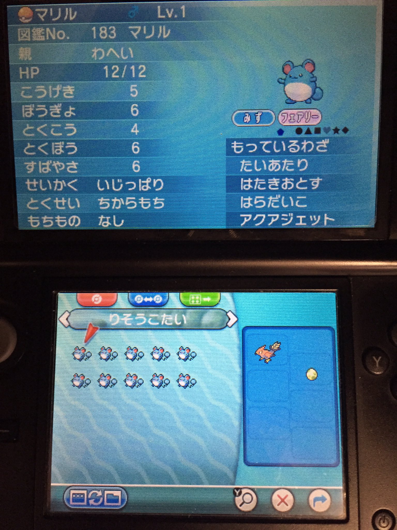 ムート ポケモン垢 Ajajajajaj546 Twitter