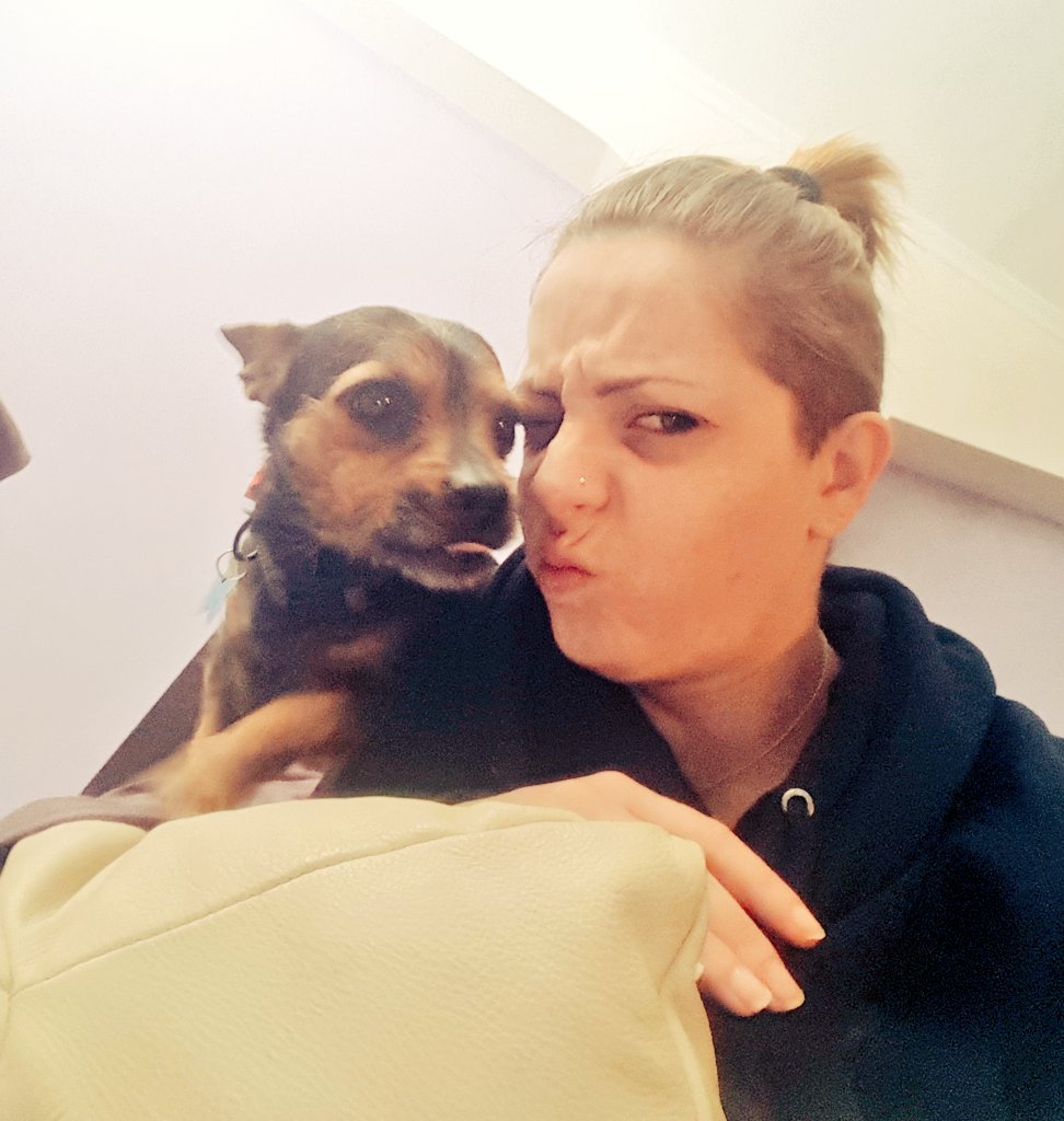lavalebudi's tweet photo. Allenamento pre-partenza! Partiamoooooooo #ilcaneconlavaligia #ettoreontheroad #ettore #dog #loveofmylife #tuscia https://t.co/CjdbMprjCp