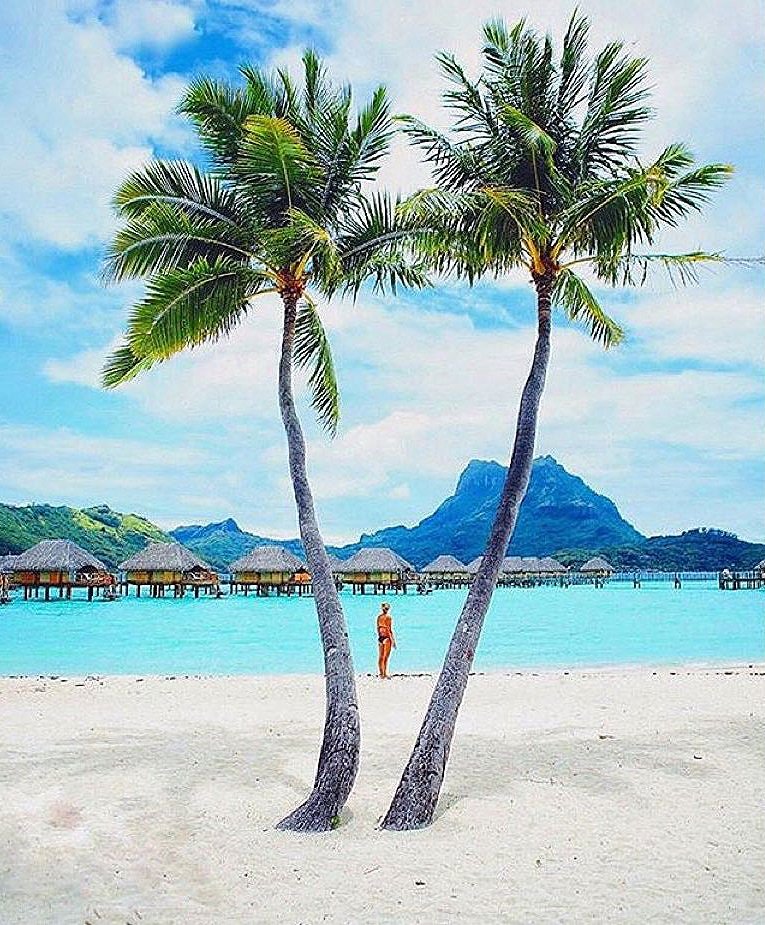 SpiaggeDaSogno's tweet photo. Bora Bora, #Polinesia https://t.co/ce5460Jsnl