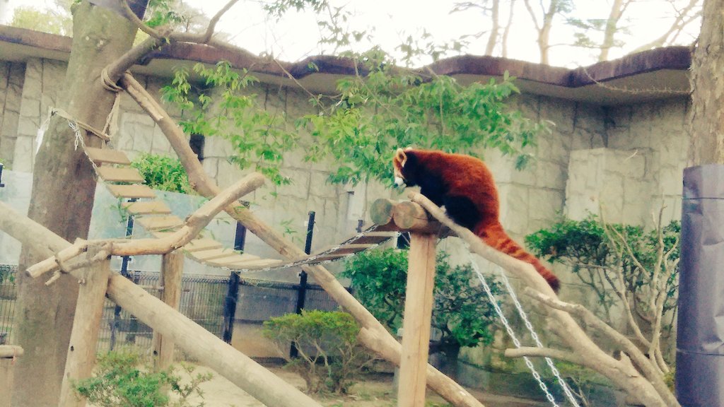 RunBa468's tweet photo. 今日のベストショット📷✨
ほとんどつんつくが撮ったやつ笑 https://t.co/cwZWa9BMVV