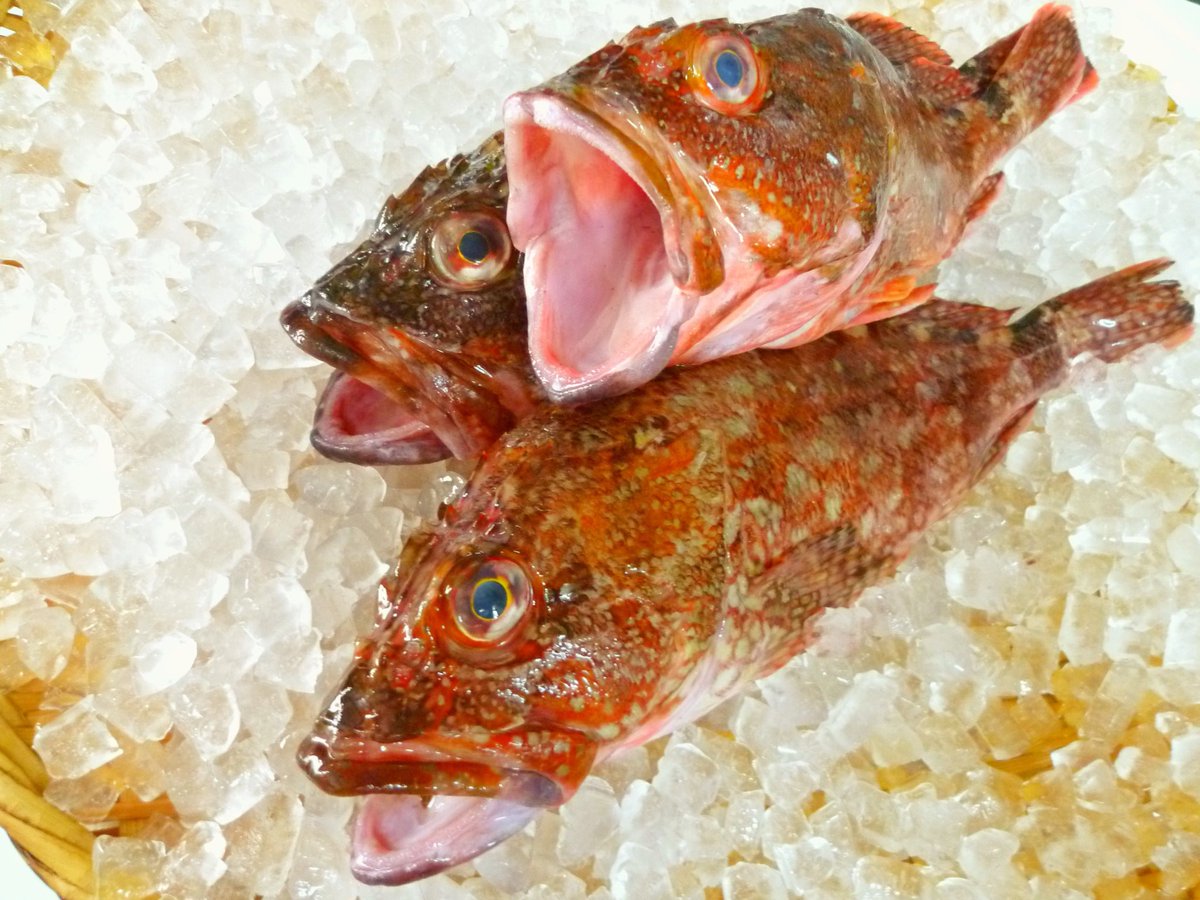 ぐるめ亭 藤沢長後店 Gurumeteichorgo Twitter