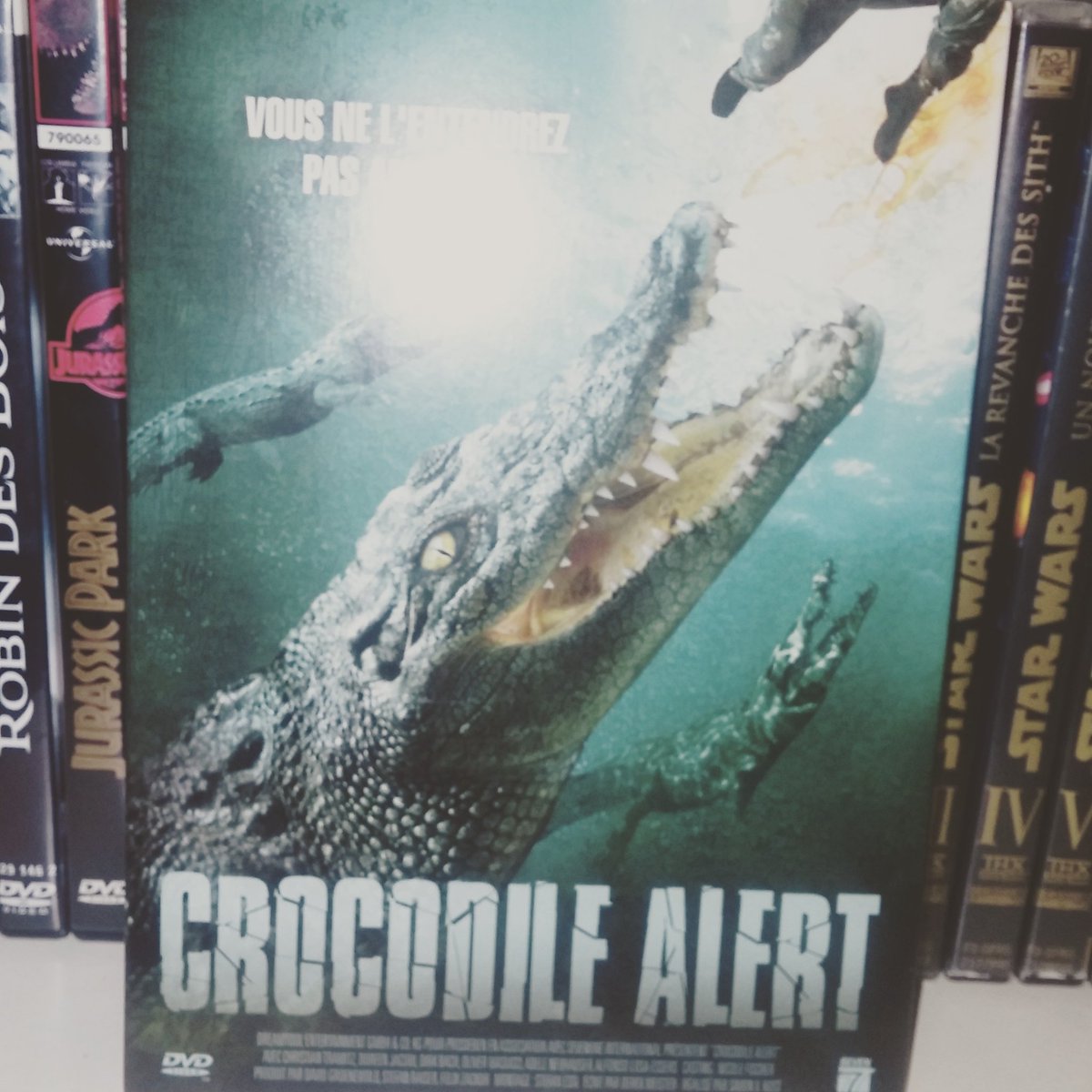 Lebarbu_cinema's tweet image. Petit film en ce samedi matin.  #crocodilealert  #TeamBarbu  #Lebarbufaitsoncinema