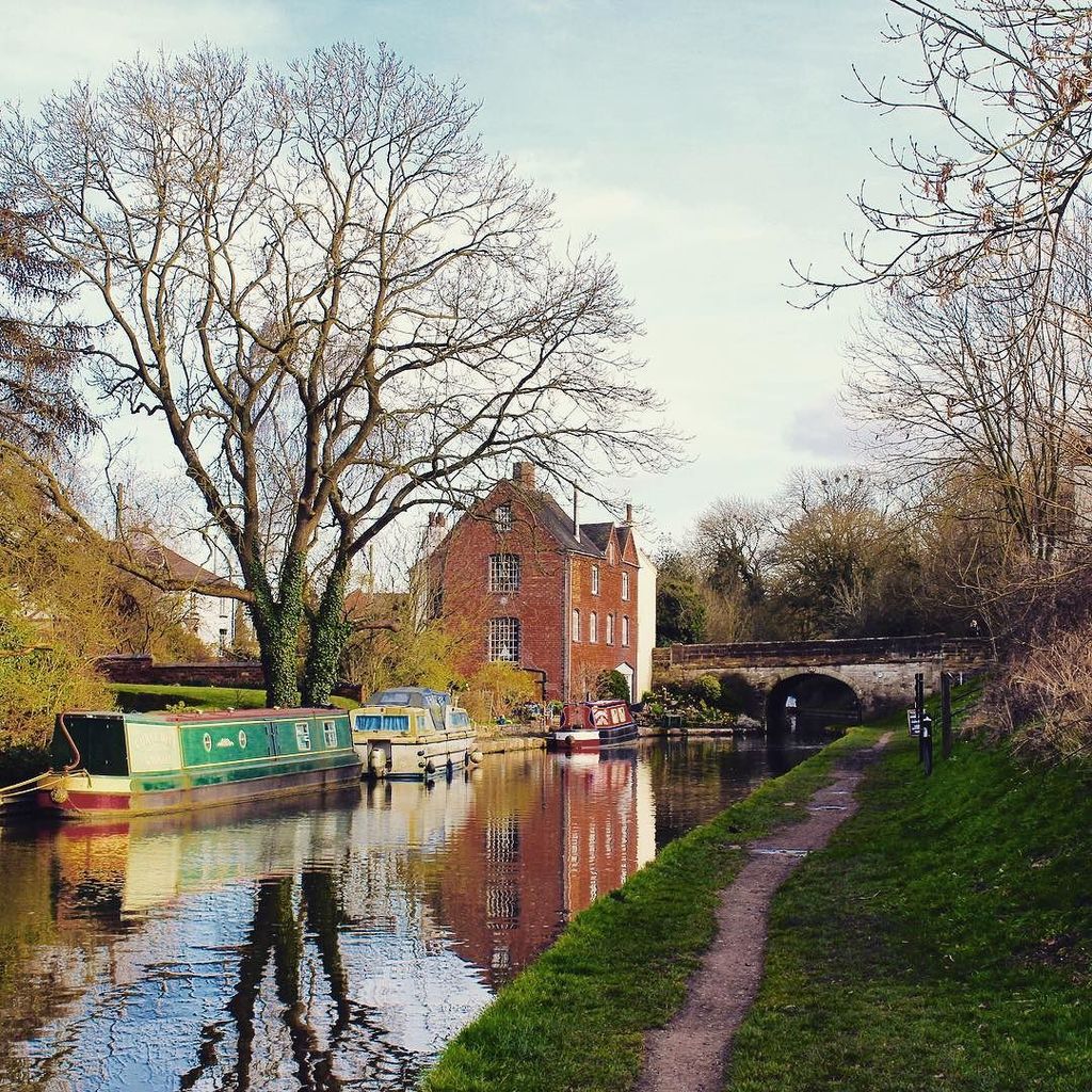 eddequincey's tweet photo. #Gnossal #canal #reflection#countryside #ig_countryside #tree https://t.co/ZYfOubzzVD https://t.co/EAbAzVp7uU
