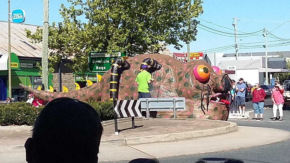ToothDetective's tweet photo. What is this float for? @CoomaExpress #BackToCooma street parade #Cooma #confused https://t.co/S3Vys18LuY