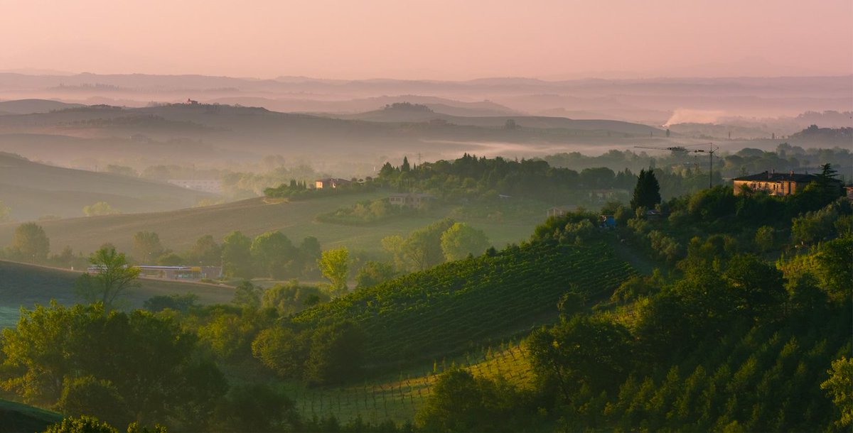 vinitalyclub's tweet photo. "Grande è la fortuna di colui che possiede una buona bottiglia, un buon libro, un buon amico".
(cit. Molière) #vino https://t.co/0uof1031rR