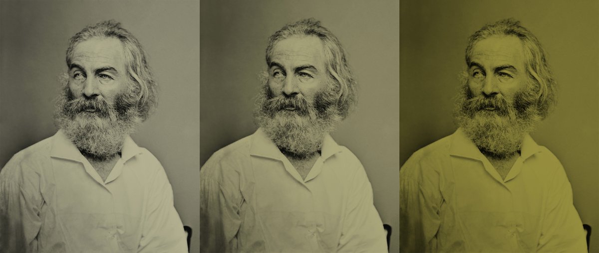 Walt Whitman'ın Çimen Yaprakları #WaltWhitman <a href="/selyayincilik/">Sel Yayıncılık</a> goo.gl/Fh9qyr