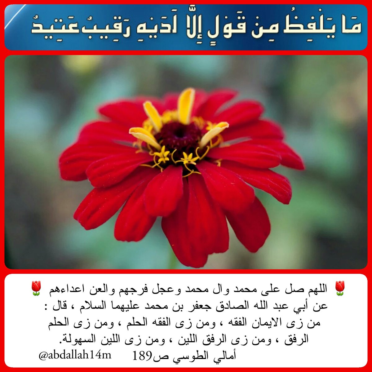 من درر ال محمد(ص)🌷
<a href="/haedr242242/">حيــ العراقي ــدر</a> @ka_bl81 @ily80aa <a href="/Sy__Krt/">كاظم الموسوي</a> @rmh3744 <a href="/haiderm94/">haider</a> @SH_Karam <a href="/r_shiaa1/">رتويت شيعة 1</a> <a href="/r_shiaa2/">رتويت شيعة 2</a> 
🌷🌷🌷🌷🌷🌷