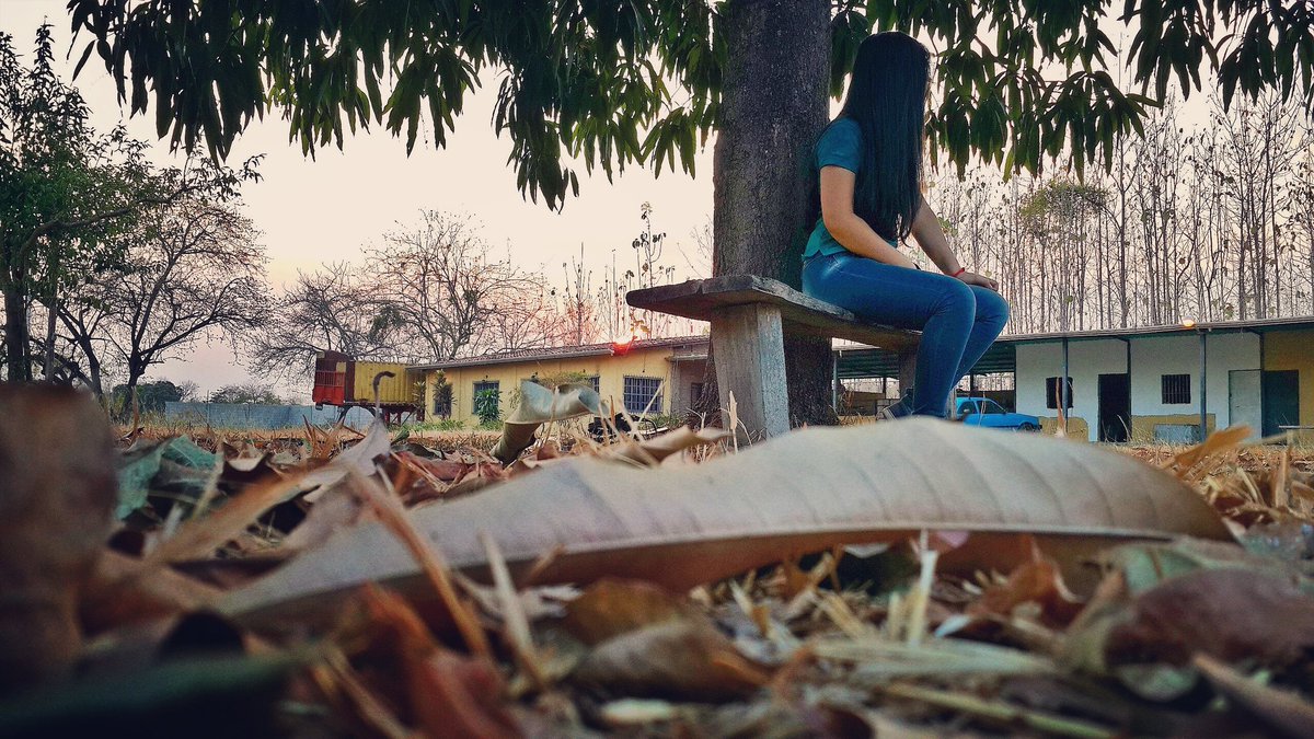 Marythnes's tweet photo. Así en mi llano🌾👐
Barinas-Venezuela. https://t.co/DN3rrzBt3M
