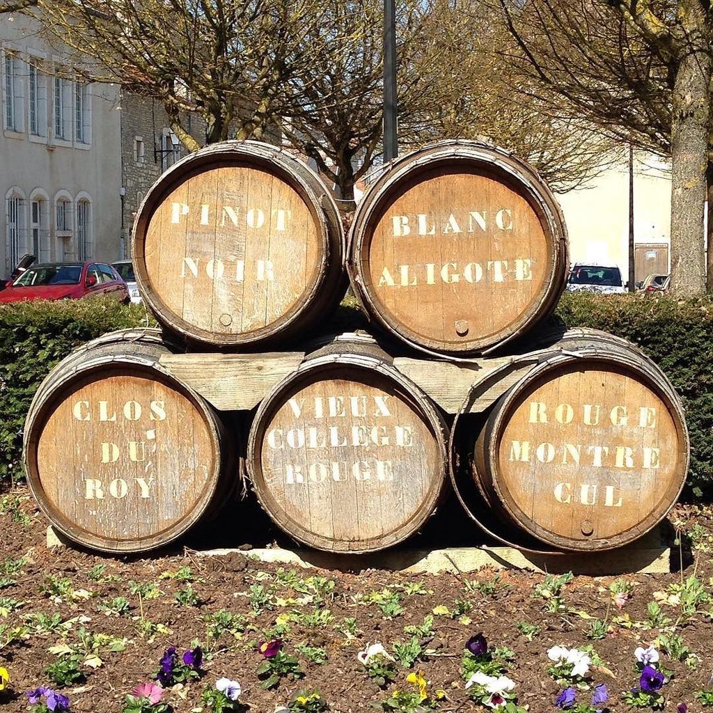 Du vin à Chenôve ? Oui et même du bon !!! Photo prise Place Anne Laprévoté à Chenôve. #vinsdebourgogne #climatsbour…