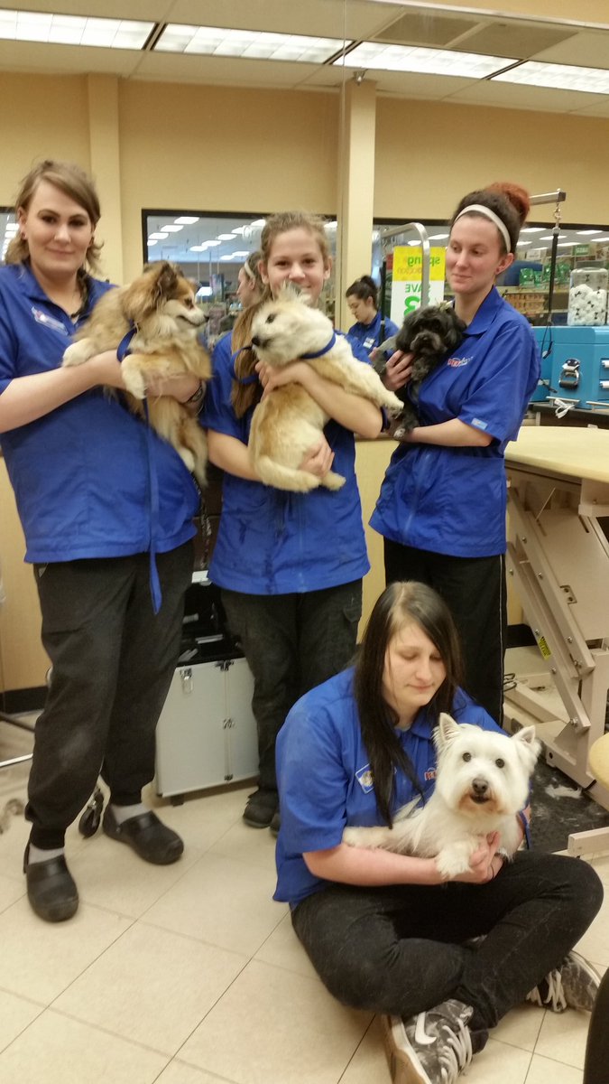 b1ebb08665cb46e's tweet photo. Graduation day! I will miss this group. The pups look awesome. @CBaileyPETM @JulzLawrence https://t.co/VzAuOlTQsx