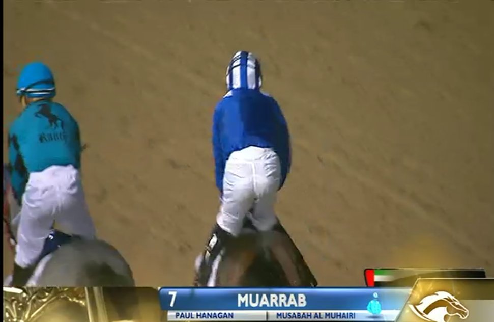 telebunker_'s tweet photo. Gana #Muarrab sexta @DRC_Meydan en interesante duelo con #XYJet q lo montó @jaramillojockey @emarroq109 @EgbertLewis https://t.co/FW9kK8JZk0