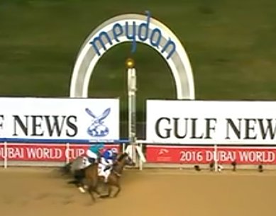 telebunker_'s tweet photo. Gana #Muarrab sexta @DRC_Meydan en interesante duelo con #XYJet q lo montó @jaramillojockey @emarroq109 @EgbertLewis https://t.co/FW9kK8JZk0