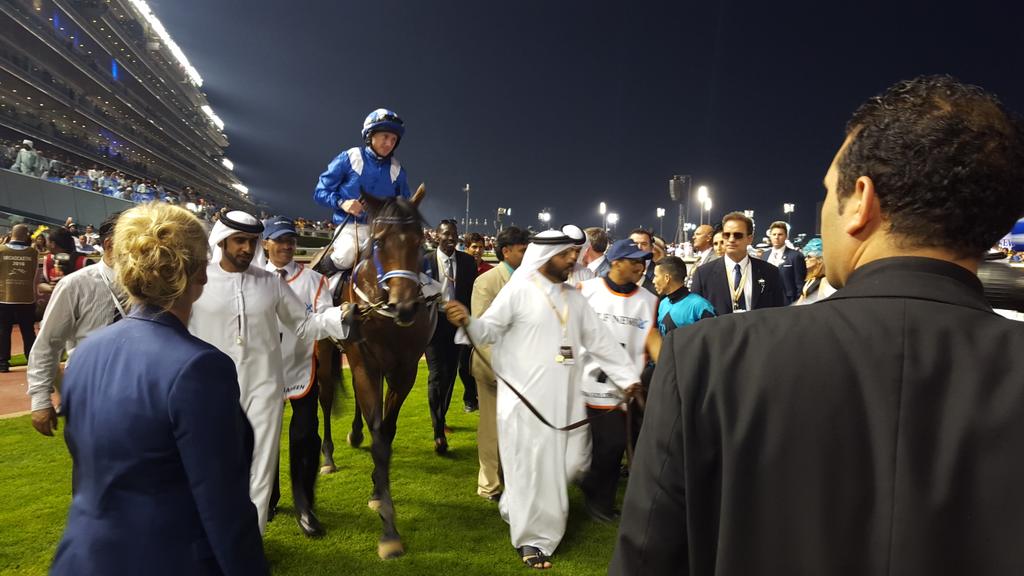 ddelgado64's tweet photo. Winner of the @DRC_Meydan Golden Shaheen #Muarrab, #XYJet almost got there! Redemption to come @BreedersCup  2016! https://t.co/KcnZ6hi6cU