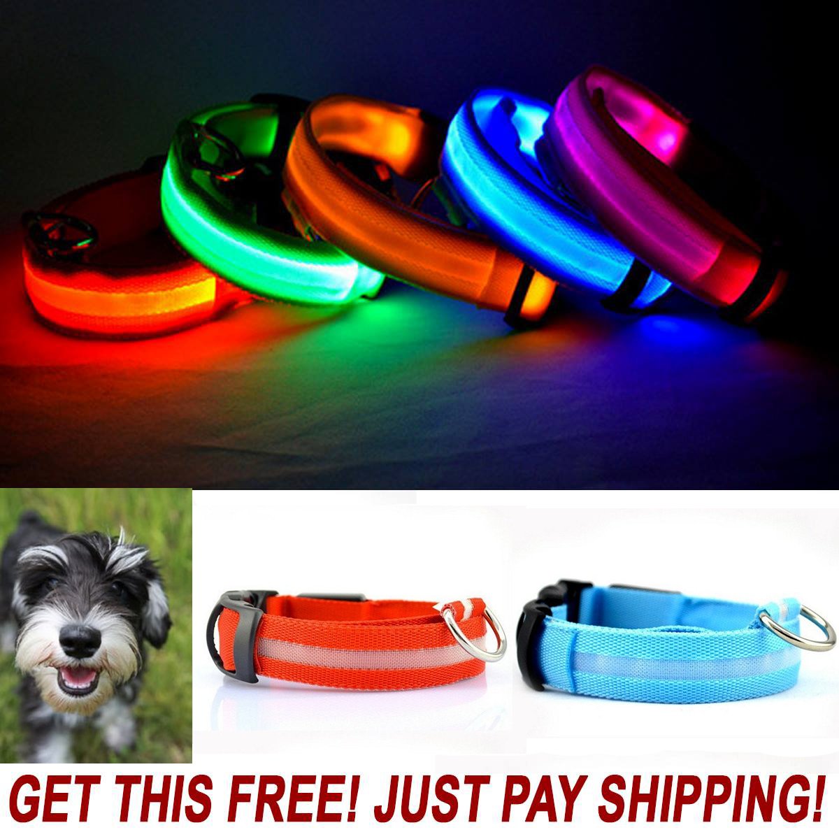 DDogShop's tweet photo. FREE Giveaway Event! Cutest Pet Collars in the World! <3 Last Chance Offer >> https://t.co/1DU2mTD6jH https://t.co/ITUI3byRbc