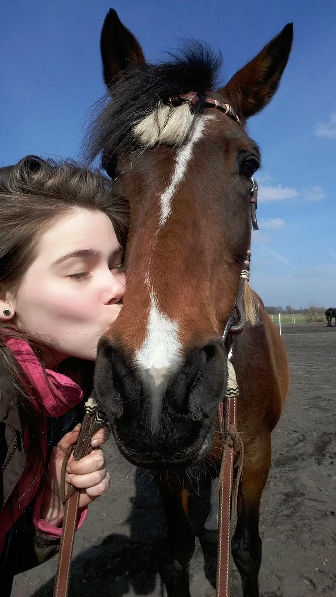 oceankrissy's tweet photo. Beautiful #Easter to everyone! #lovemyhorse #HappyEaster #happyday #chilloutdays https://t.co/aHLcRMf7MR