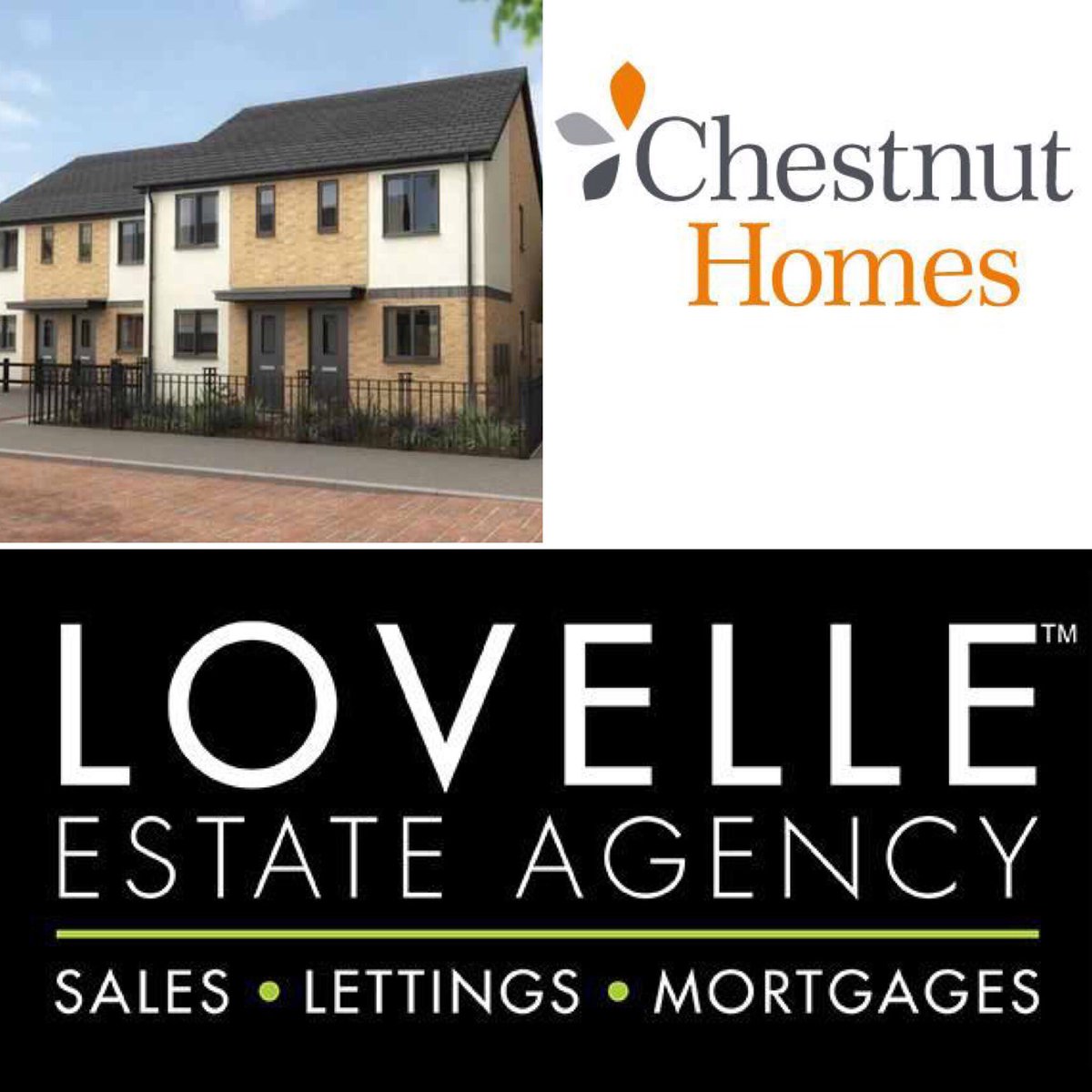 MatthewWoods89's tweet photo. LEA are pleased to announce our partnership with Chestnut Homes for the LN6 Development, Westbrooke Road! #newhomes https://t.co/rgO2zQ5CsH