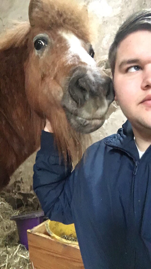 Seanflett1995's tweet photo. Saying goodbye to this little one after 17 years was the hardest thing I have ever had to do 😔 RIP atom bomb❤️ https://t.co/nlJbPSUiNI