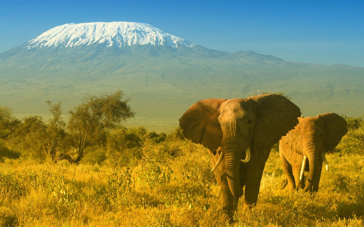 FlyBoku's tweet photo. Beautiful scenery of Fonds d'écran in Kenya.
#ExperienceKenya with #MrBoku
https://t.co/S8VV8XXCNk
#ScenerySaturday https://t.co/olzQi8coic