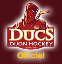 badiaa_maslouhi's tweet photo. 🏒 Les Ducs dijonnais affronteront les Boxers/Bordeaux et sont à 1 point #MaintienLigueMagnus #Trimolet 20h #Soutien https://t.co/X0Po50UtDw