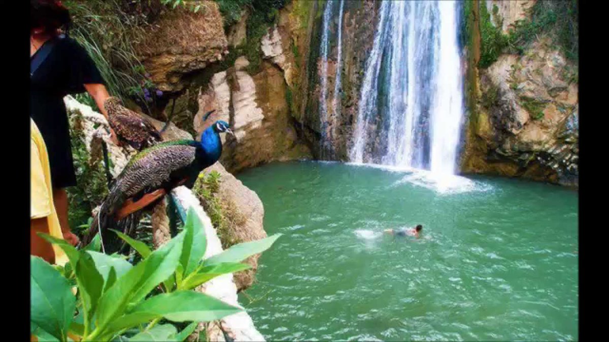 الدنيا ربنا خلقها جميله واحنا اللى بنخربها