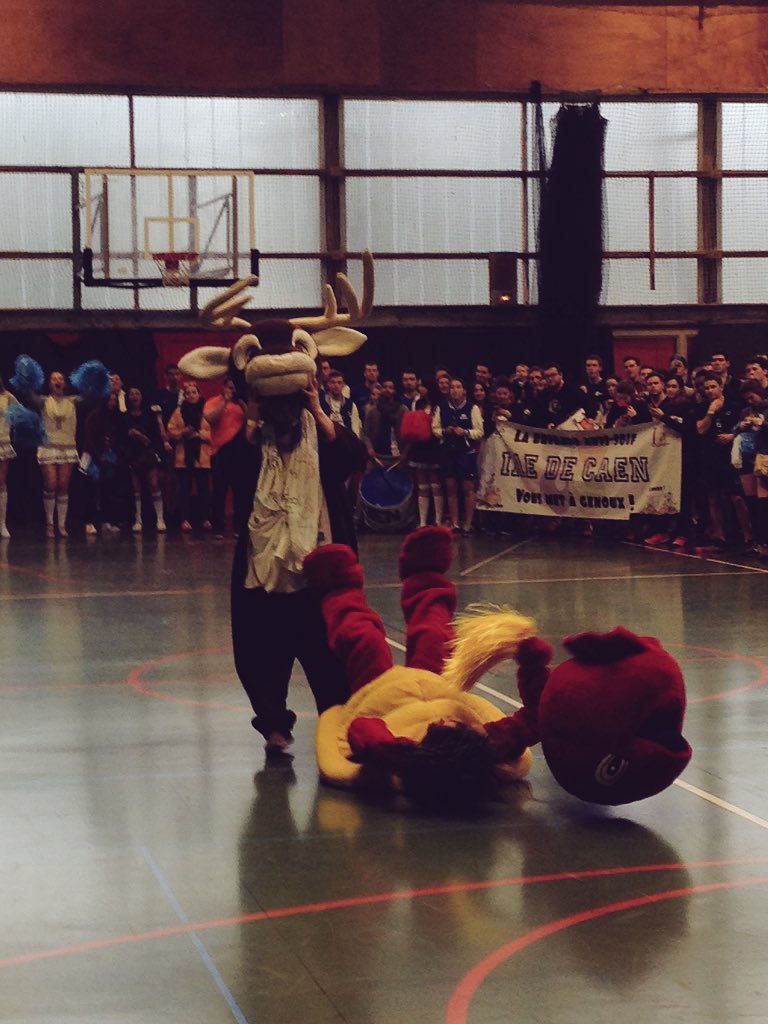 cdfnantes2016's tweet photo. Concours des mascottes, toujours plus ! #CDFIAE2016 #NANTES https://t.co/tdbagwaixW