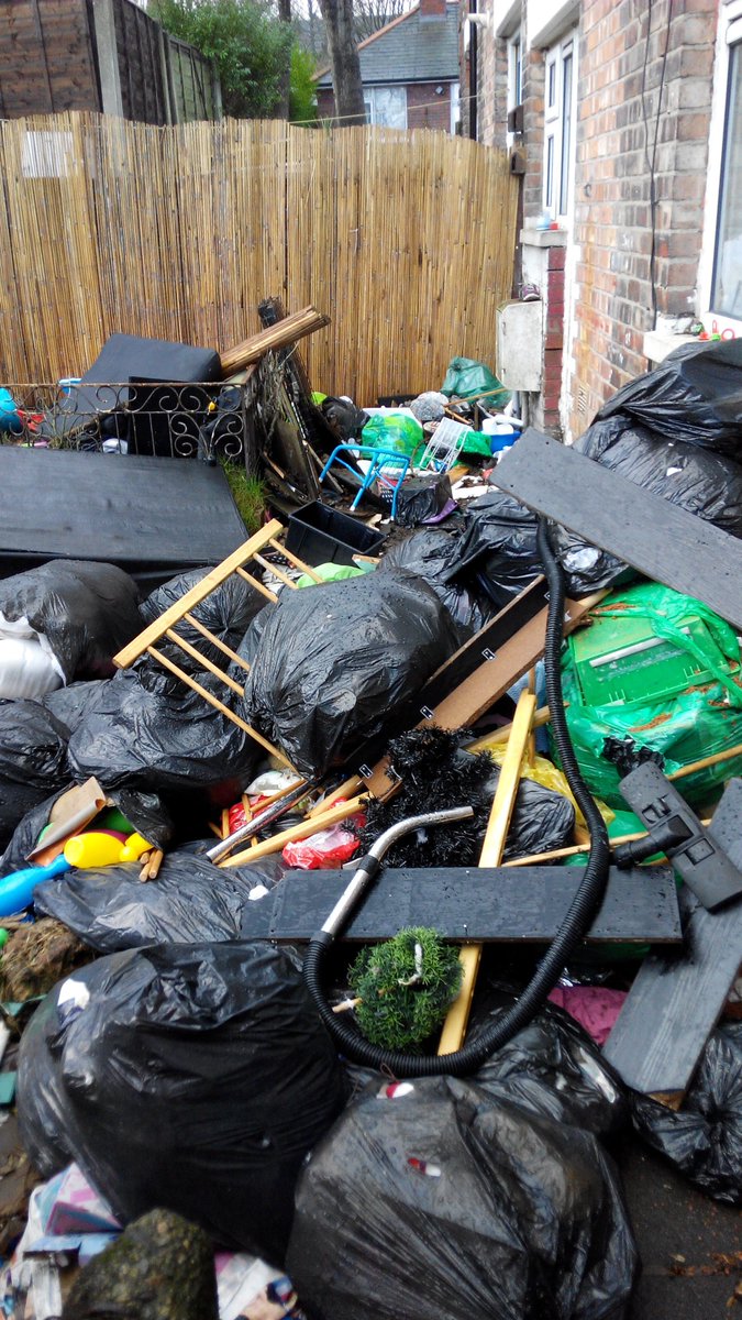 Next door's back garden of a recently purchased house. What do you think? Should we call environmental health?