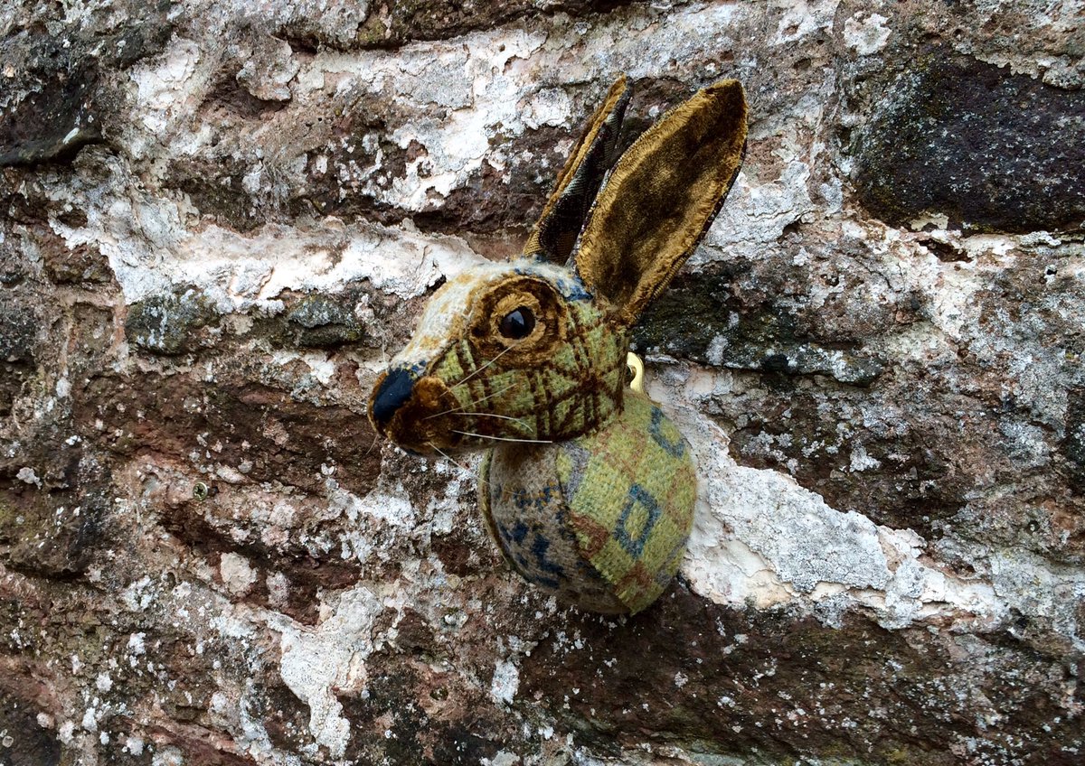 fauxidermy_uk's tweet photo. Little #fauxidermy #bunny #ranbit handmade using melin tregwynt #Welsh woven #wool #welshblankets https://t.co/C21YOc1Pu6