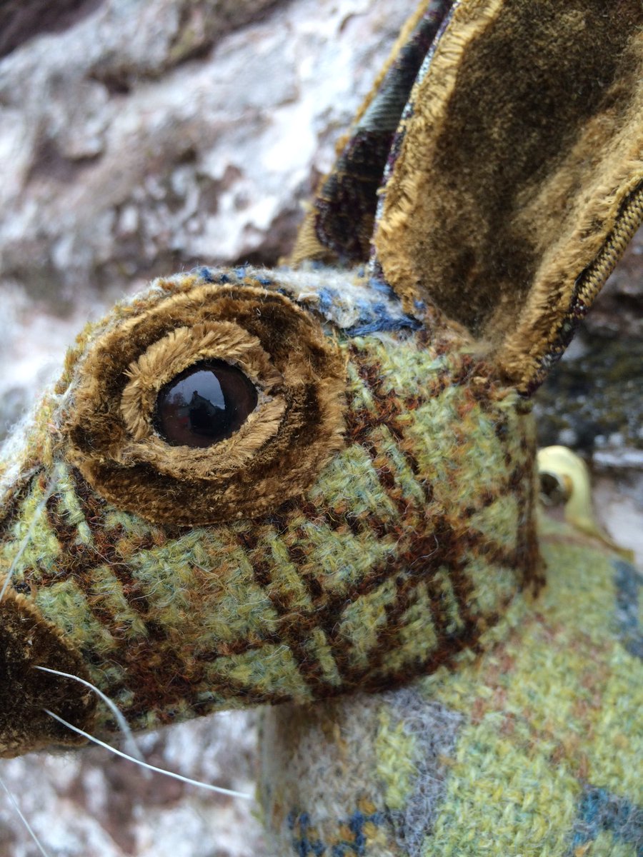 fauxidermy_uk's tweet photo. Little #fauxidermy #bunny #ranbit handmade using melin tregwynt #Welsh woven #wool #welshblankets https://t.co/C21YOc1Pu6