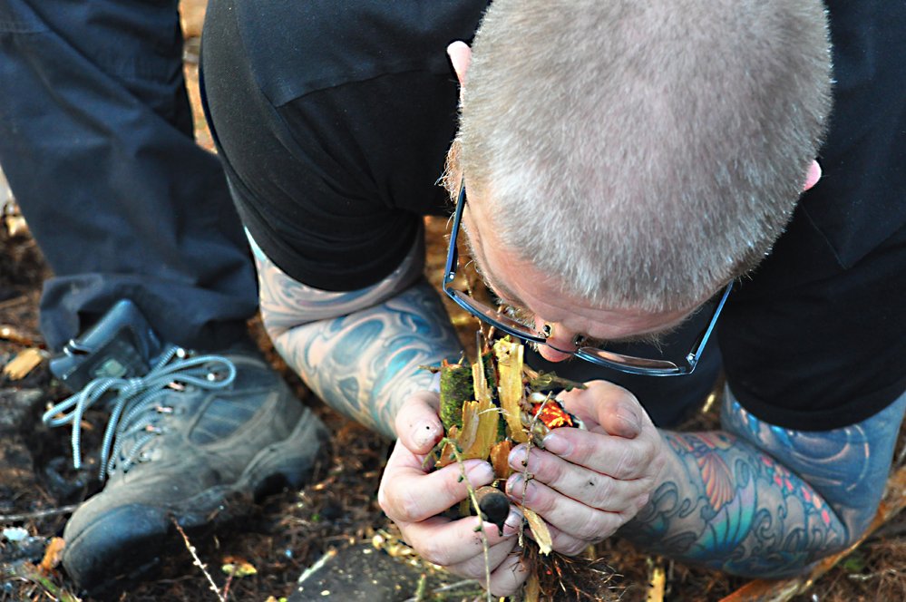 Wild Camping UK tweet media